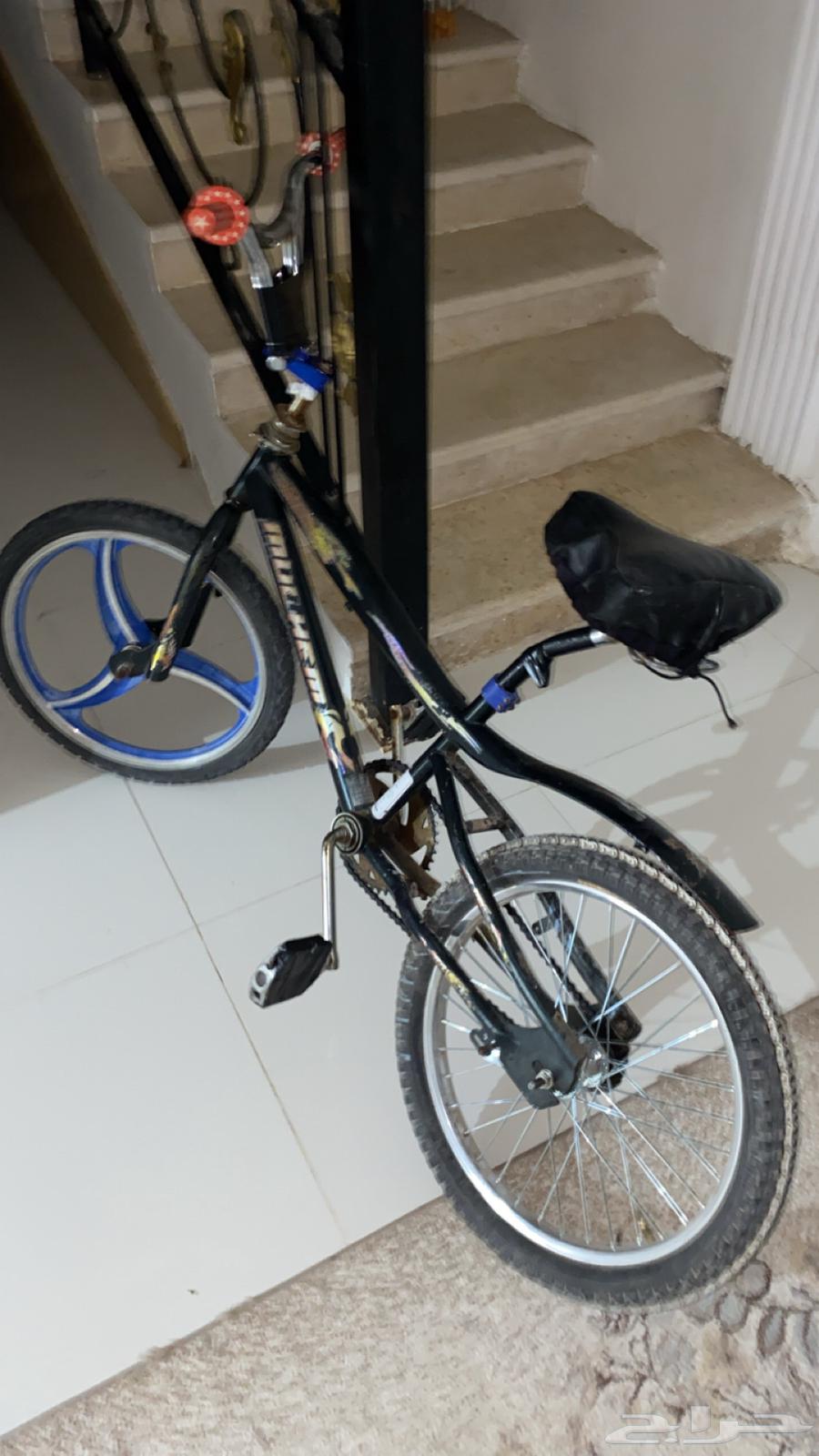 سيكل مقاس 20 لا يشكو إلا الجنط الخلفي السعر 400 لا يجي64363606293505112