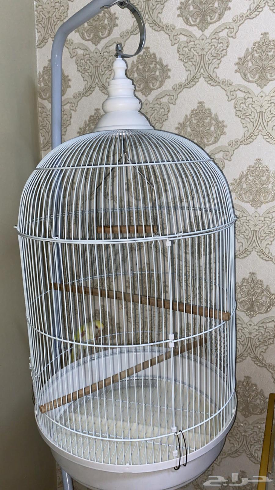 قفص طيور كبير64364545396610112