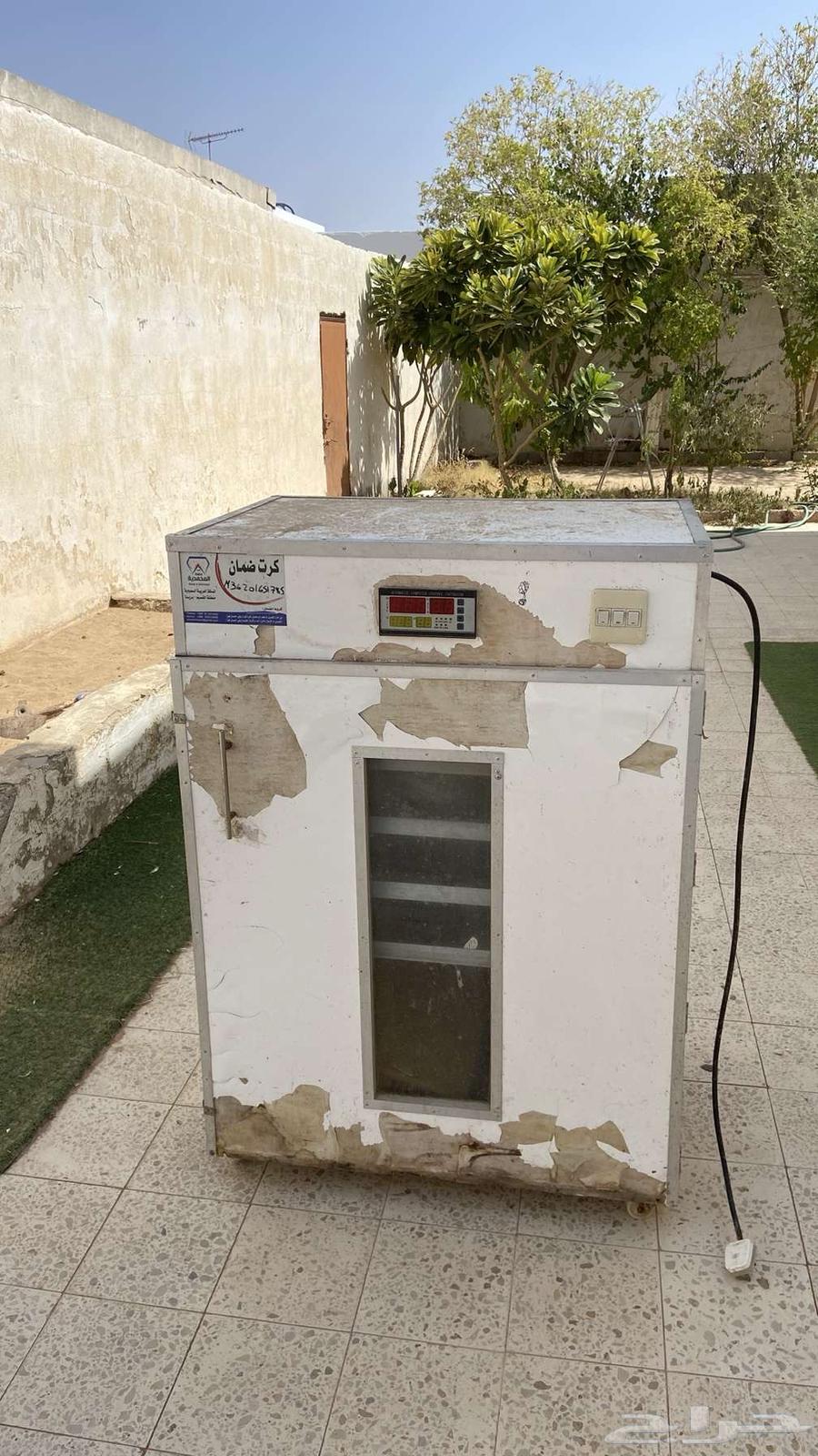 Automatic Incubator64375828221571110