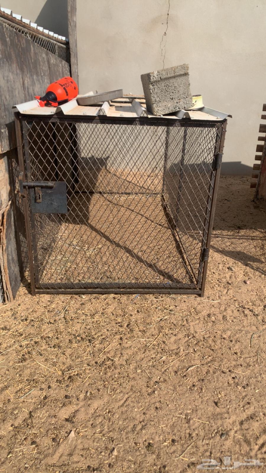 For sale, net64517518892289110