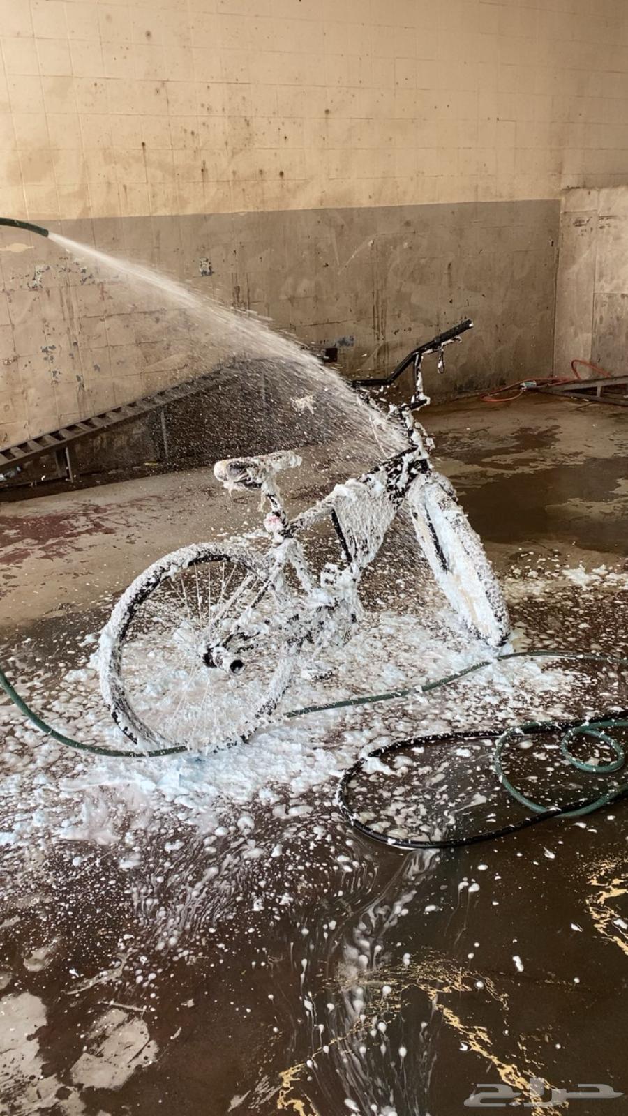 Cycl64376421698562112