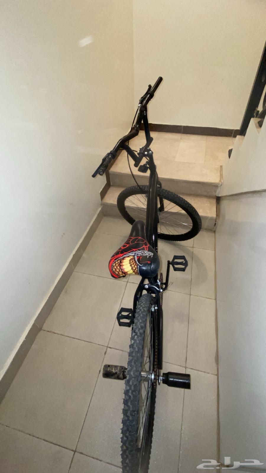 Cycl64376421698562113