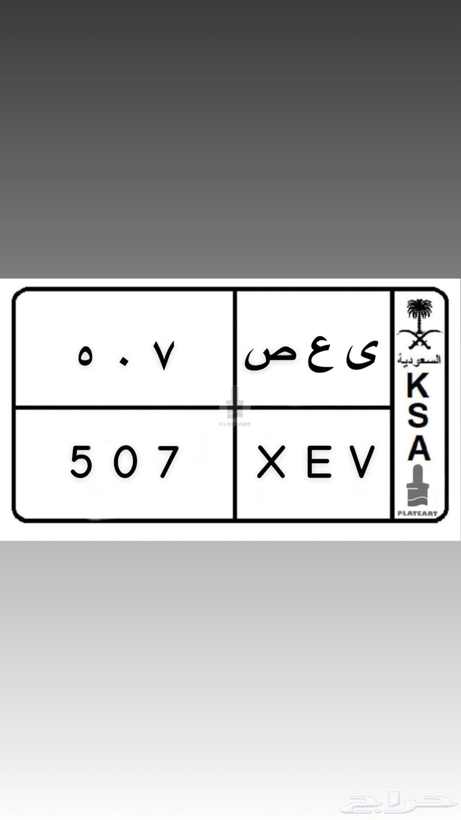لوحة 507 للبييع64508565425922110