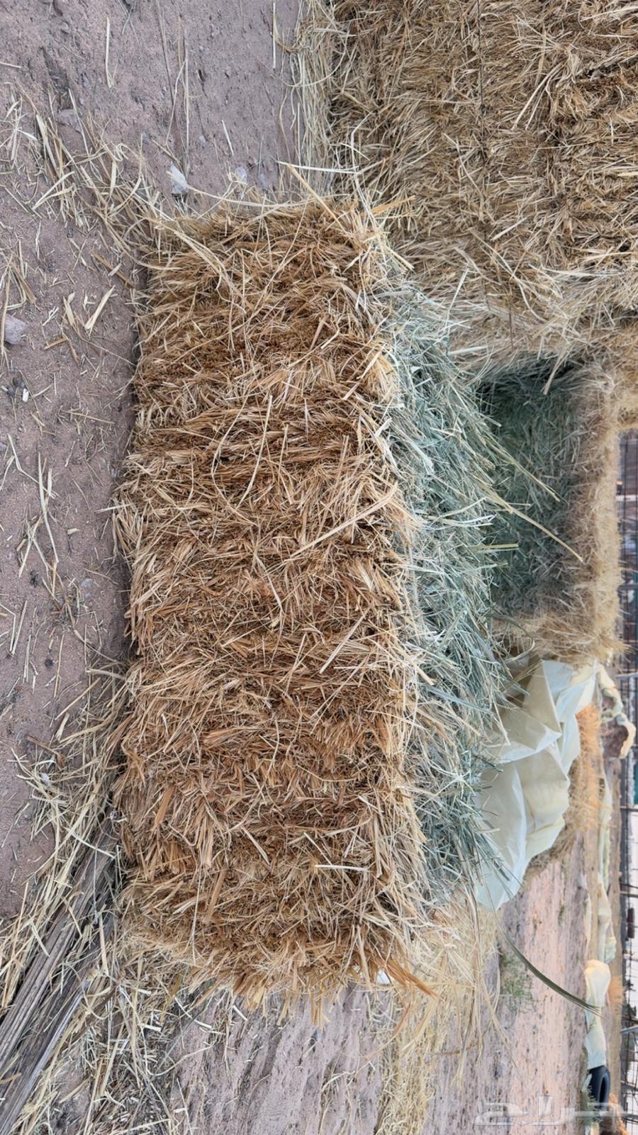 بونكام صافي جدا  جدا64371994482305110