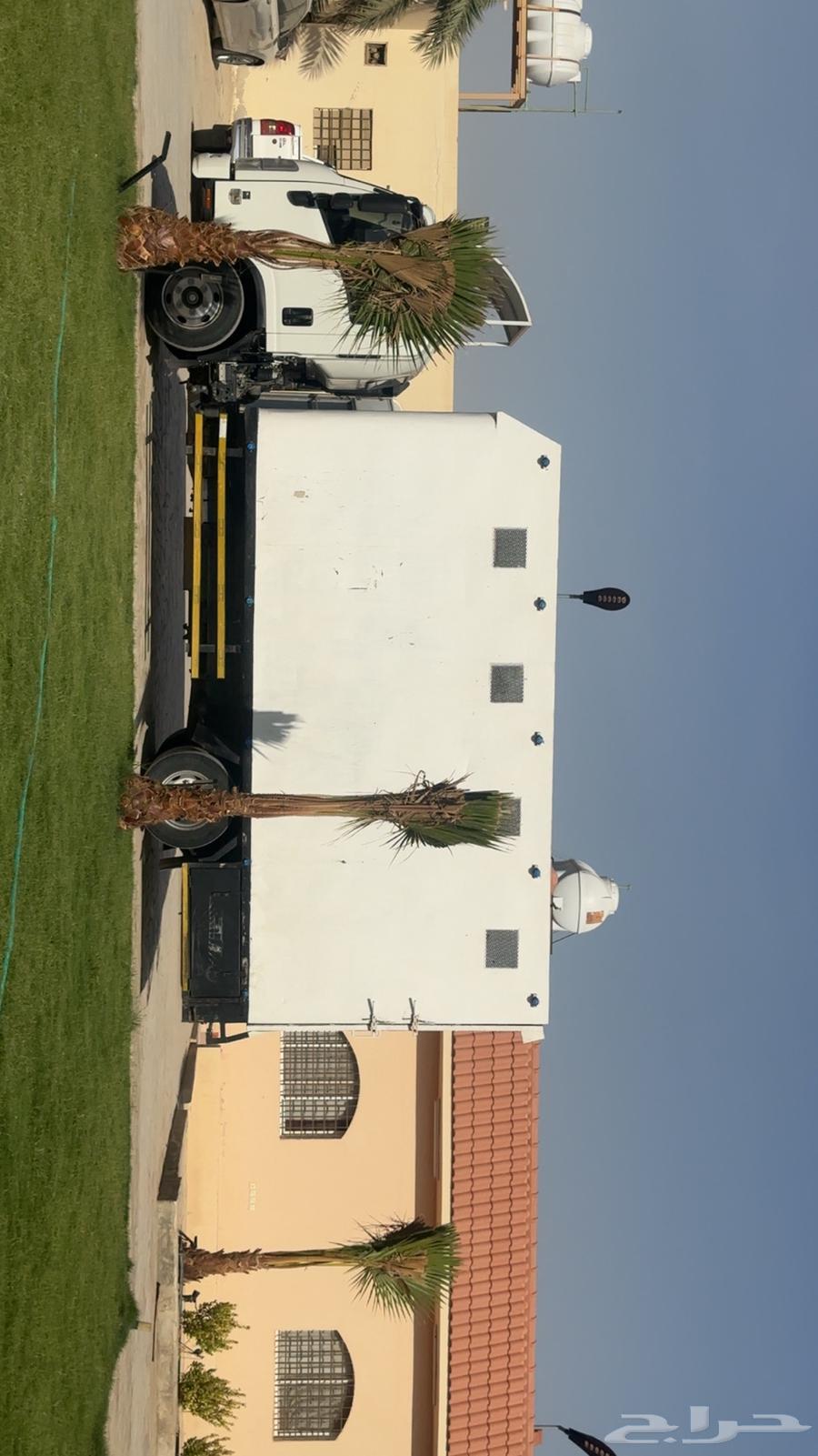 نقل خيل وادي دواسر64375349083651110