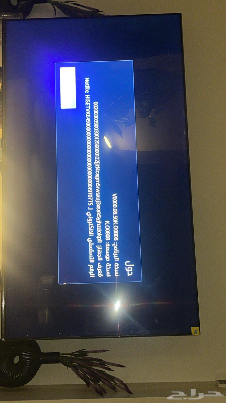 تلفزيون هاينسيس64370655037442111