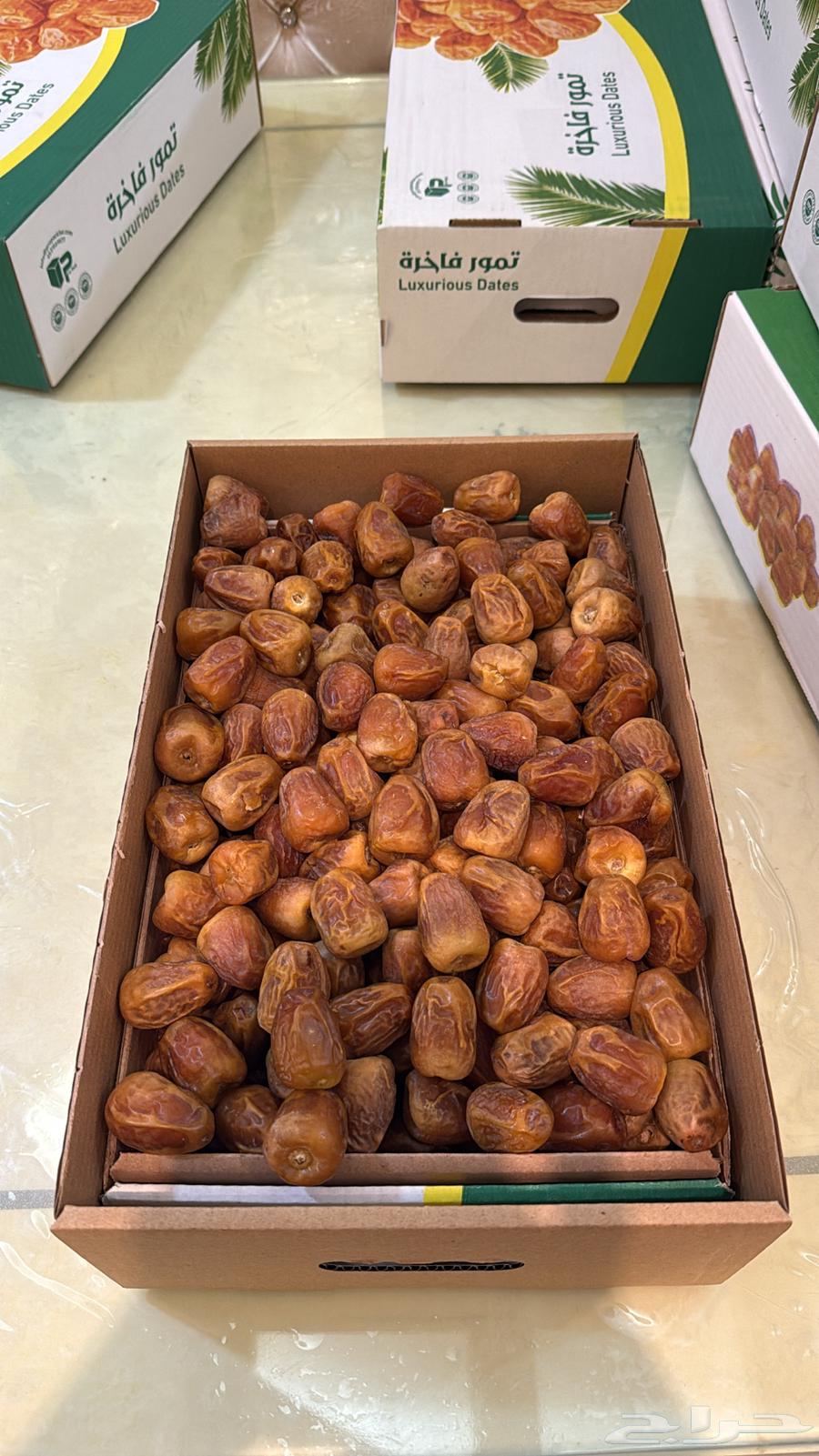 الزين للزين - سكري مفتل من جديد القصيم64363264472961110