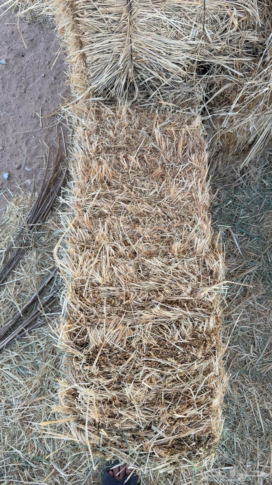 بونكام صافي جدا  جدا64371994482305111