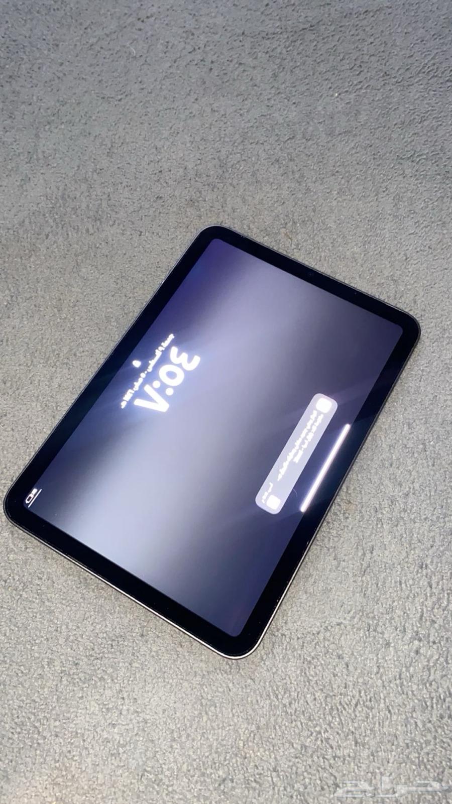 ايباد ميني 6 202164368207781762111