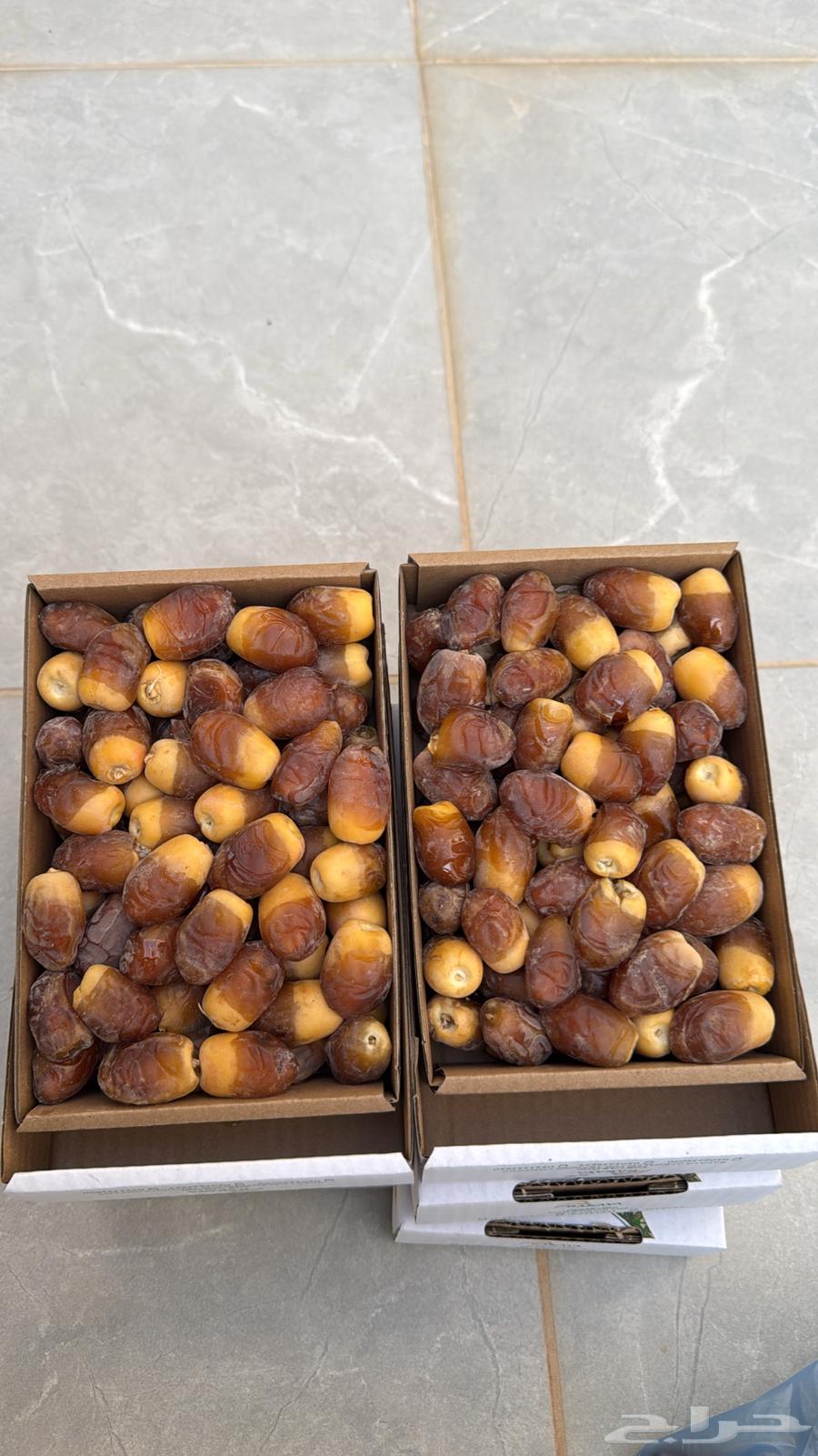 Manifi Freeze Dates64365276736129110