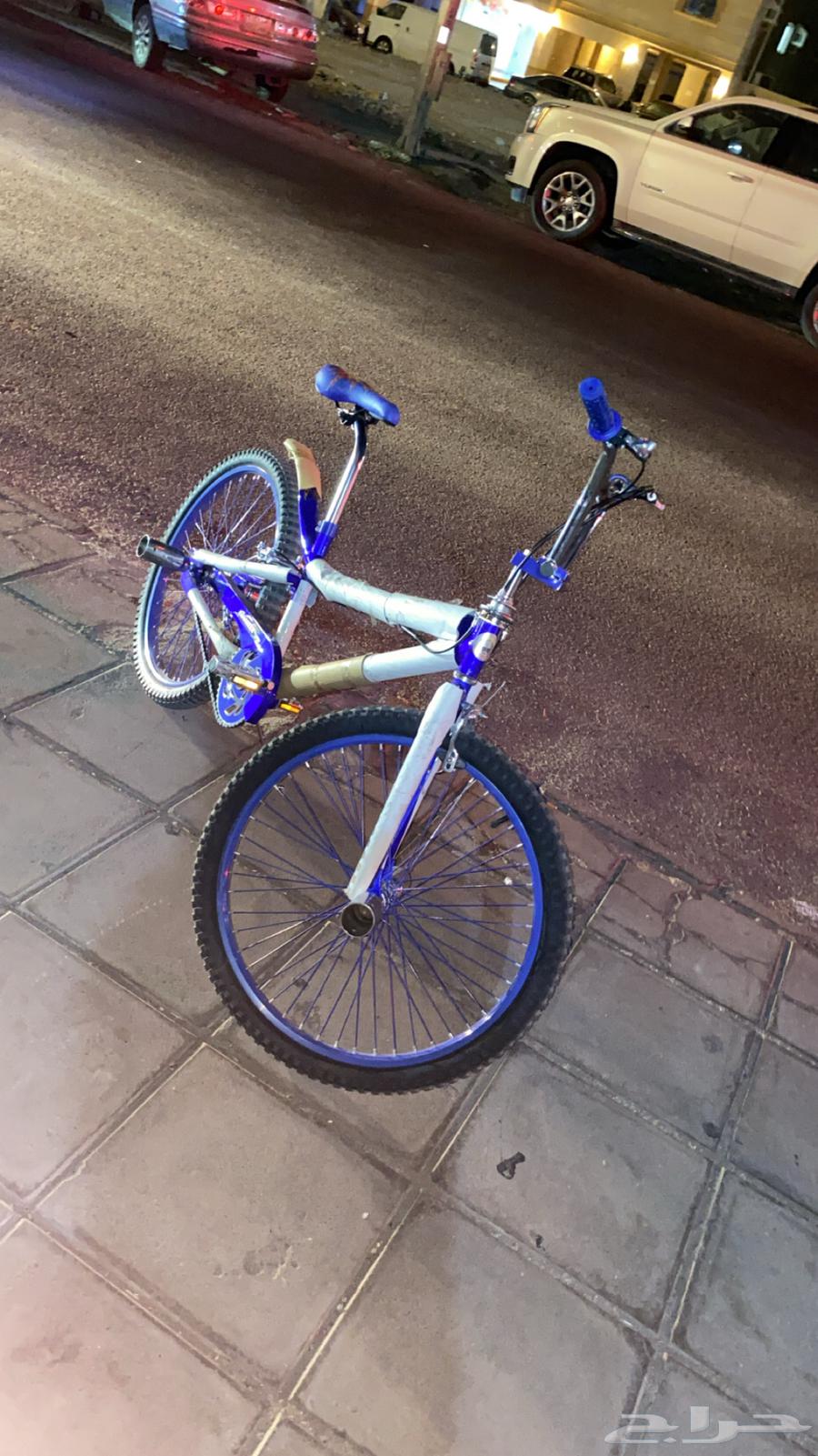 Cobra bicycle64372871622146110