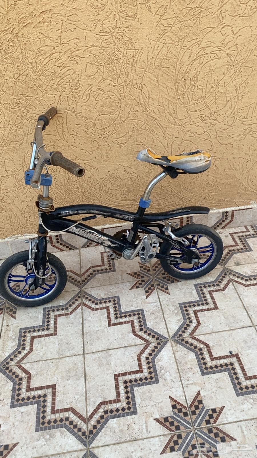 سيكل كوبرا مقاس 1264371964939651111