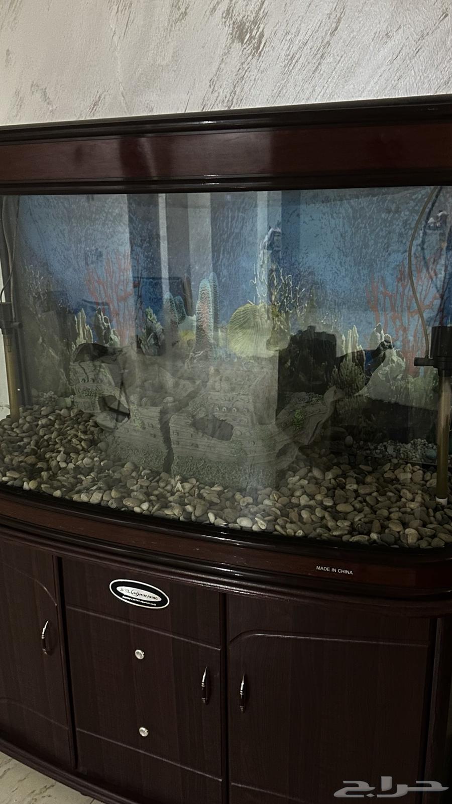 حوض سمك انيق64362847645699114