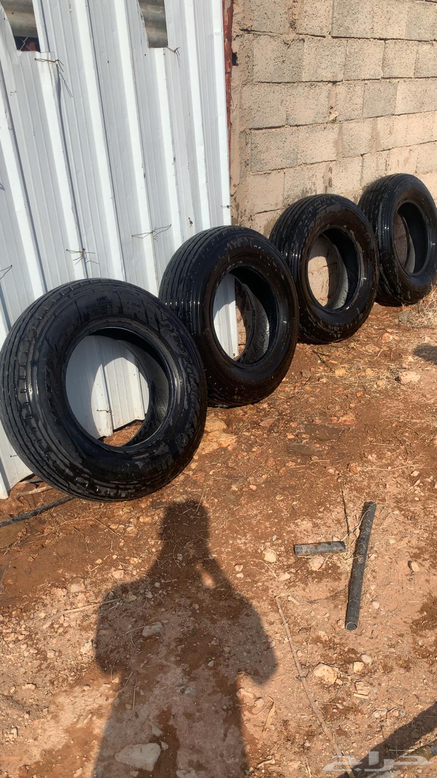 بوالين ماكسس ابو جمل مقاس 900 جنط 18 موديل 2564513631744771110