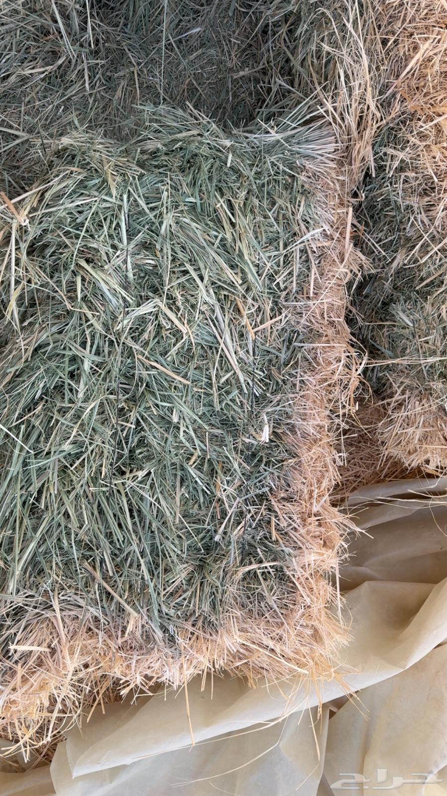 بونكام صافي جدا  جدا64371994482305113