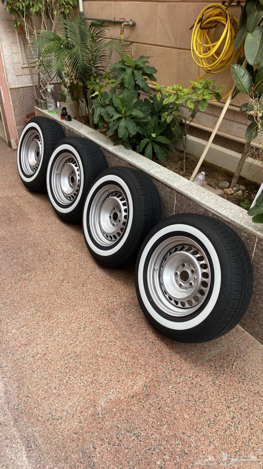 جنوط دمعه مائله تبريز 1.564512106642435110