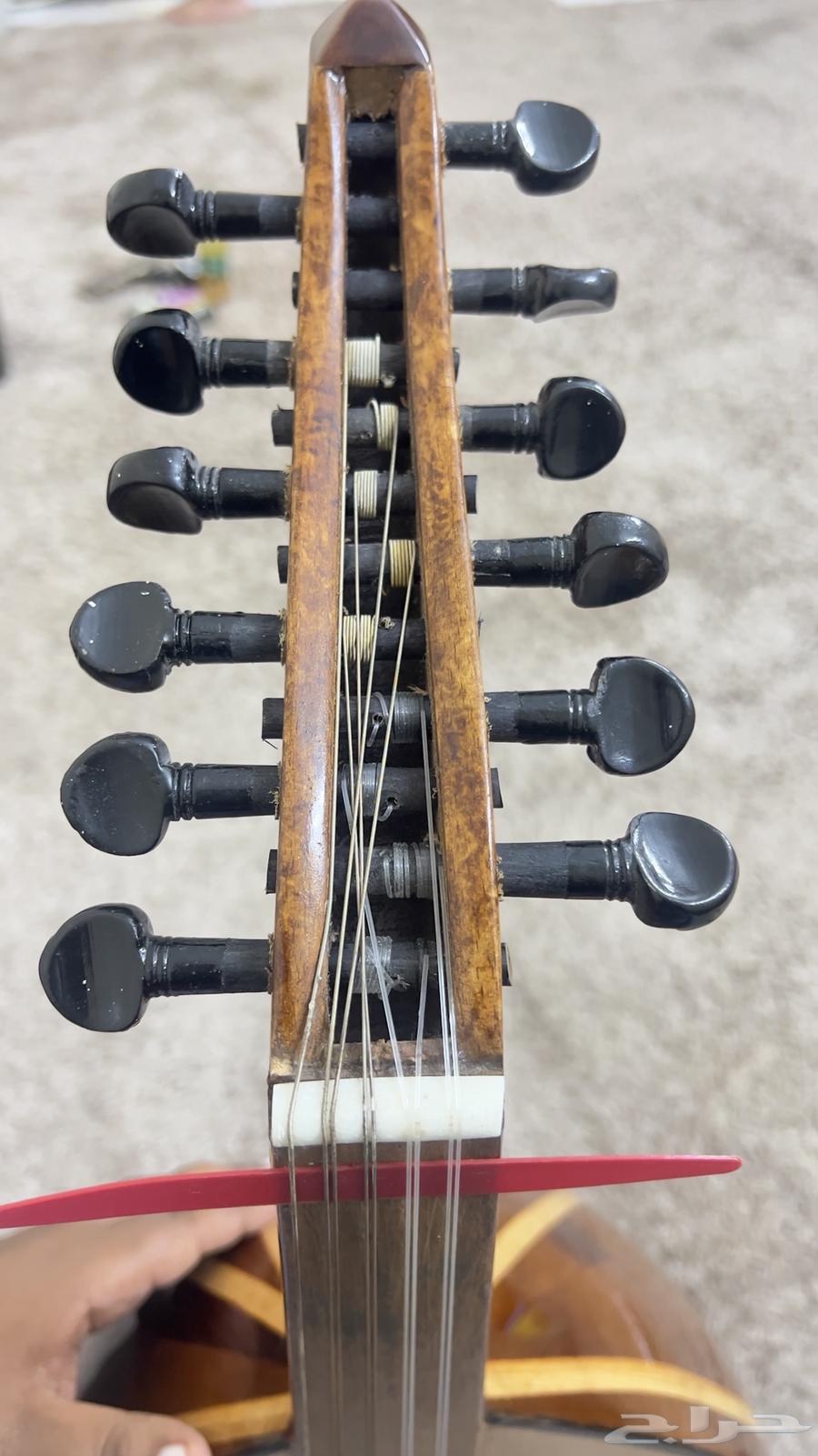 A oud I took to learn, but I don't know its new use after a week64374583621890114