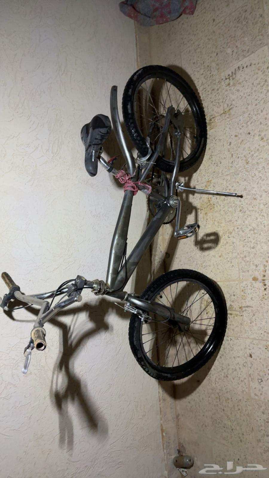 Cobra bicycle64373433289601111