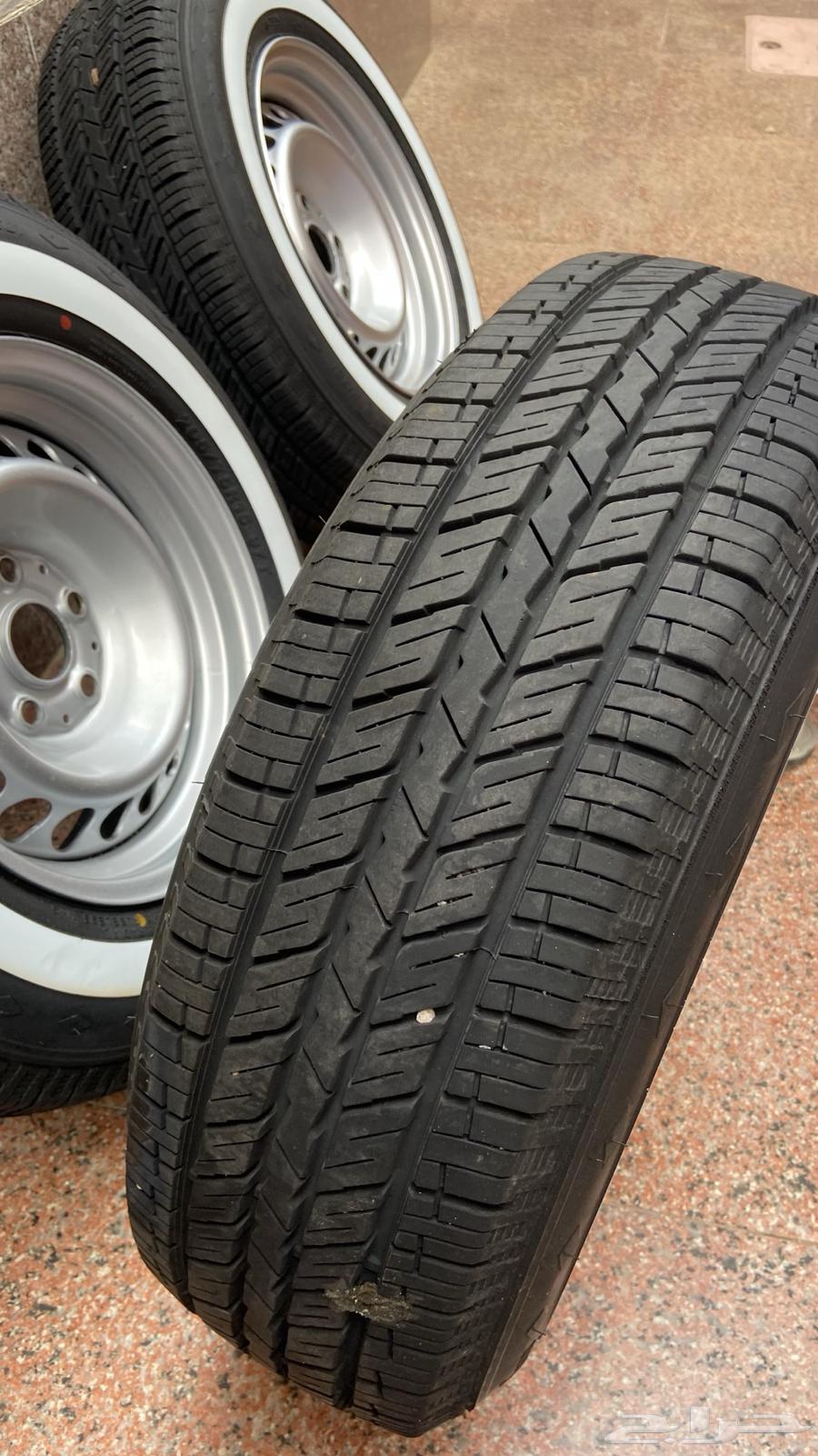 جنوط دمعه مائله تبريز 1.564512106642435113