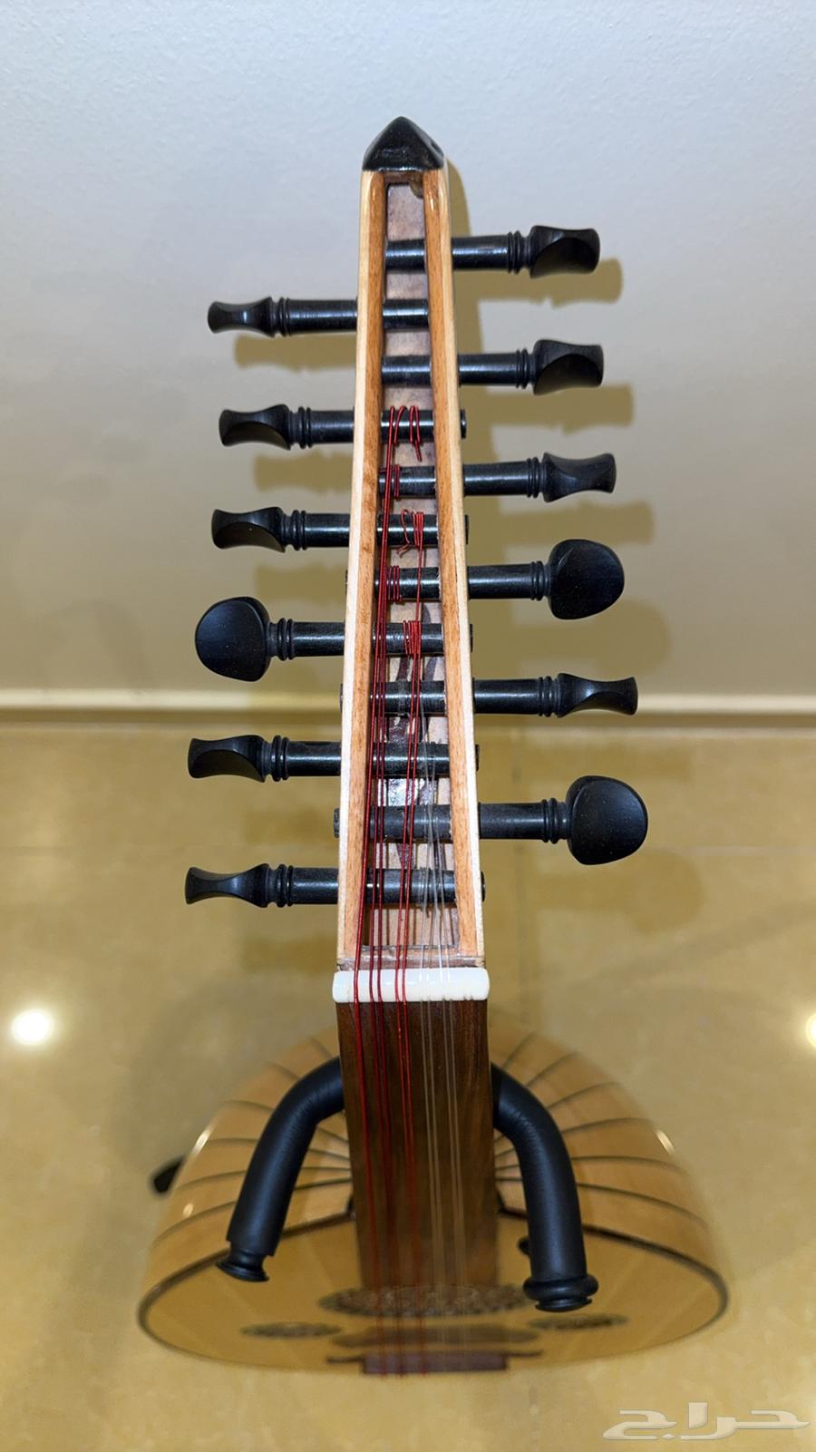 عود للبيع64370511351043112