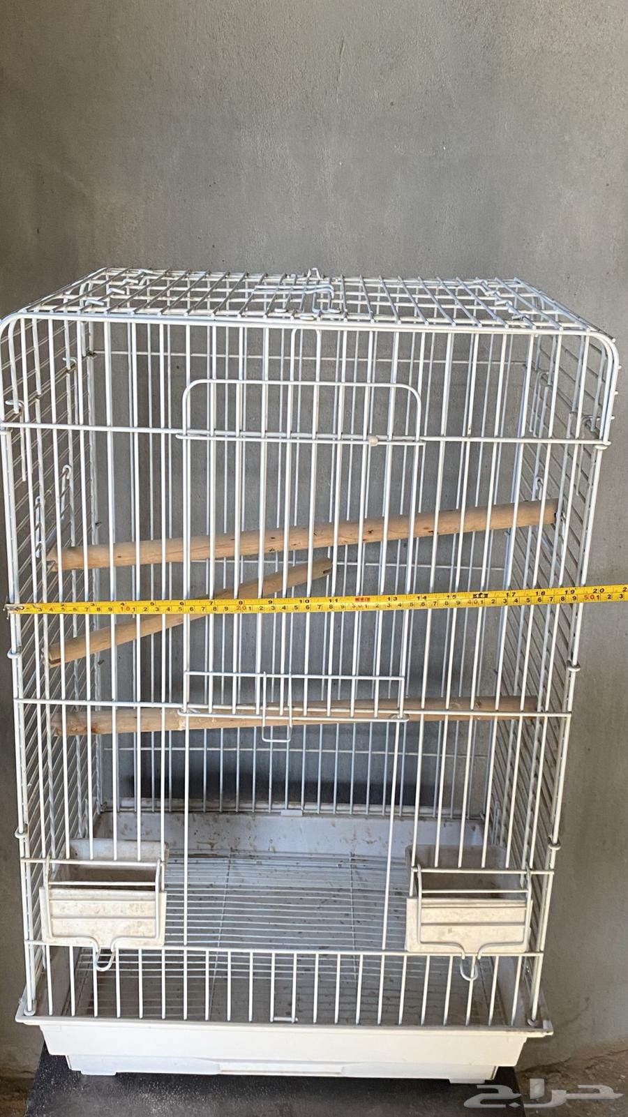 Cages for songbirds and canaries64371803563779113