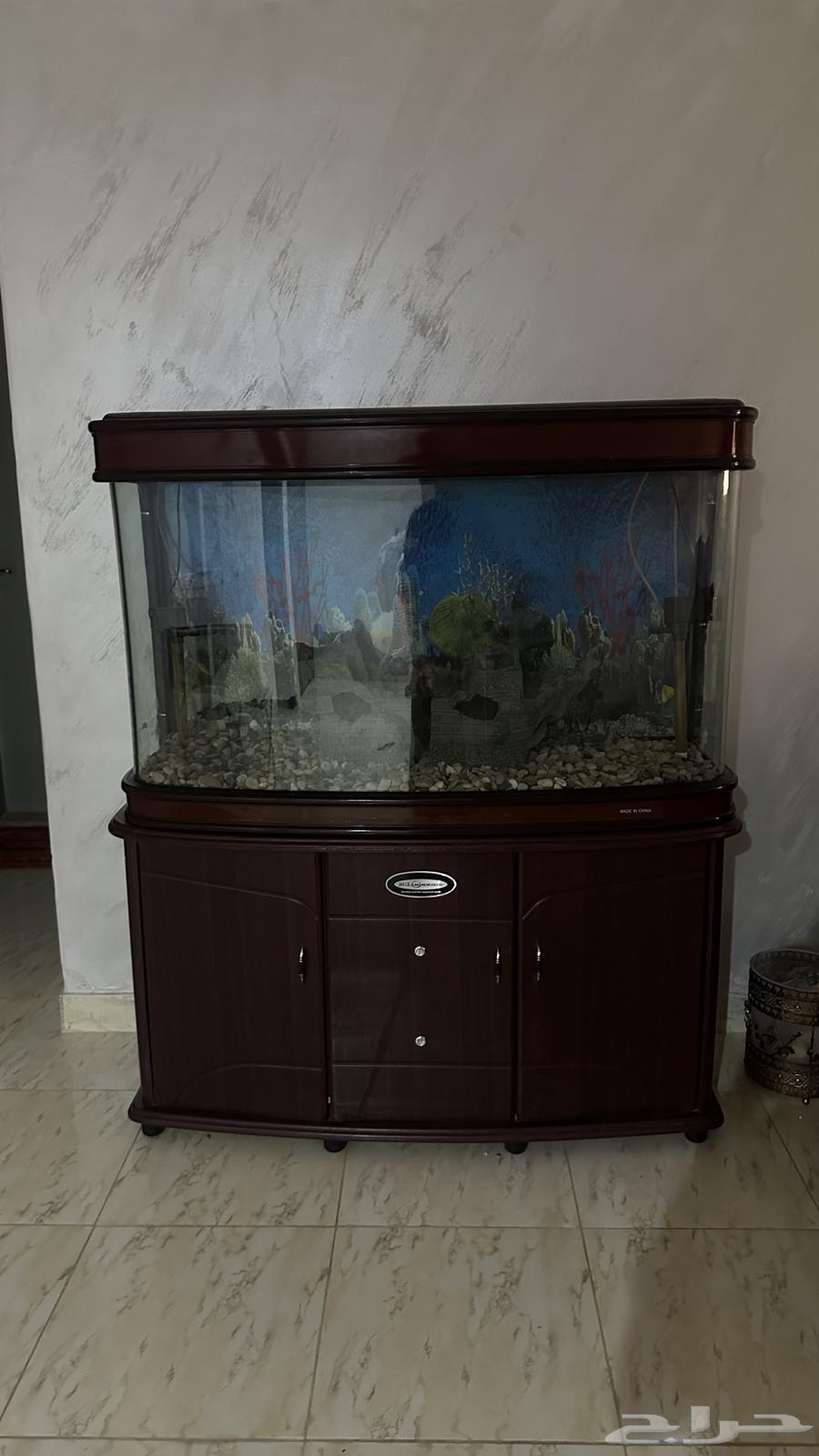 حوض سمك انيق64362847645699111