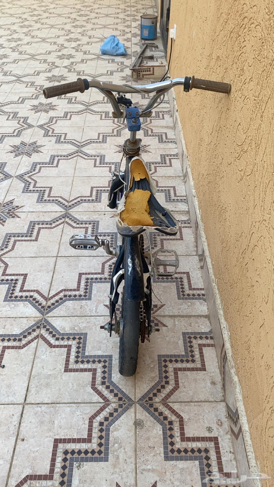 سيكل كوبرا مقاس 1264371964939651112