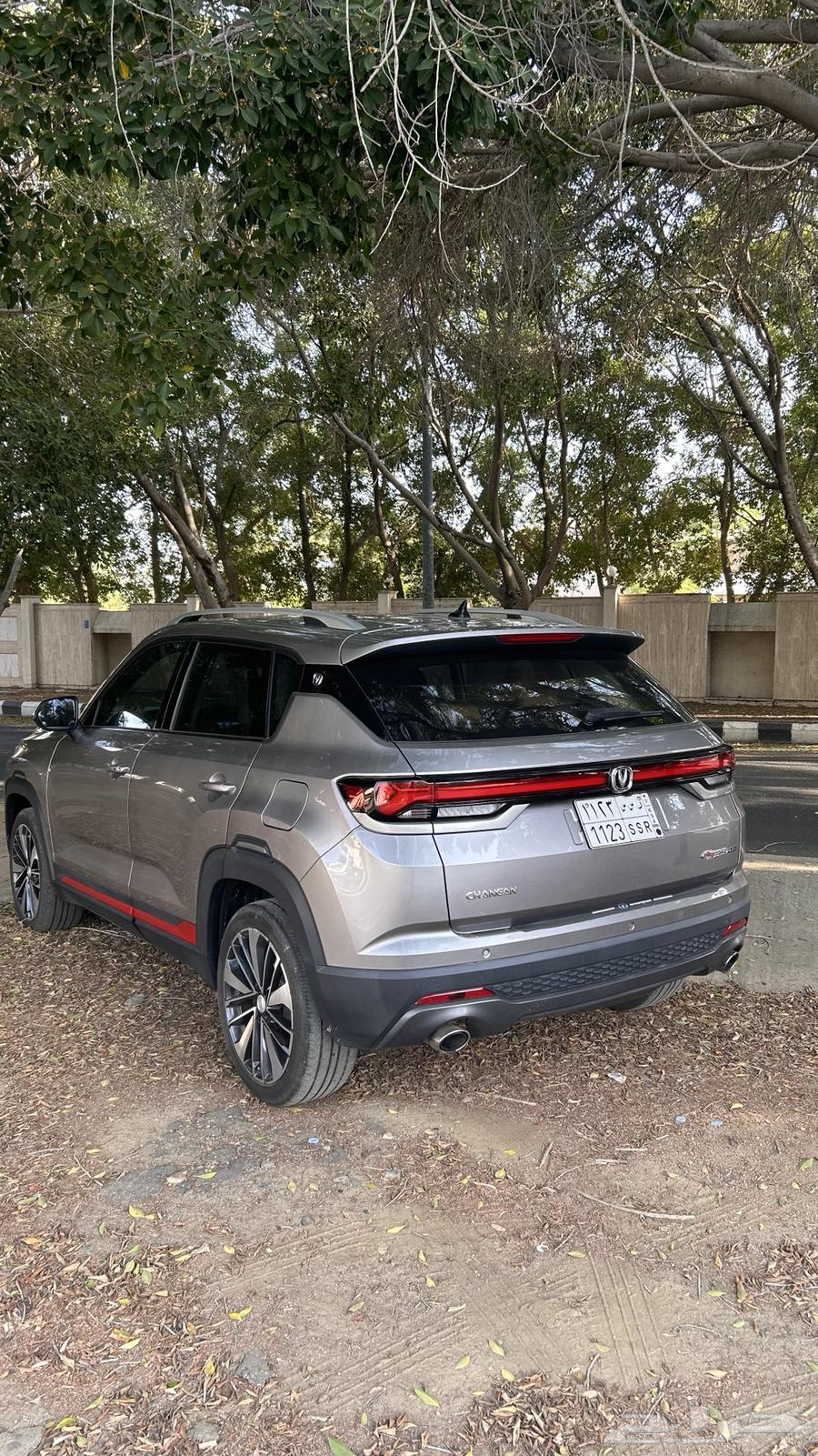 cs3564510267624066112