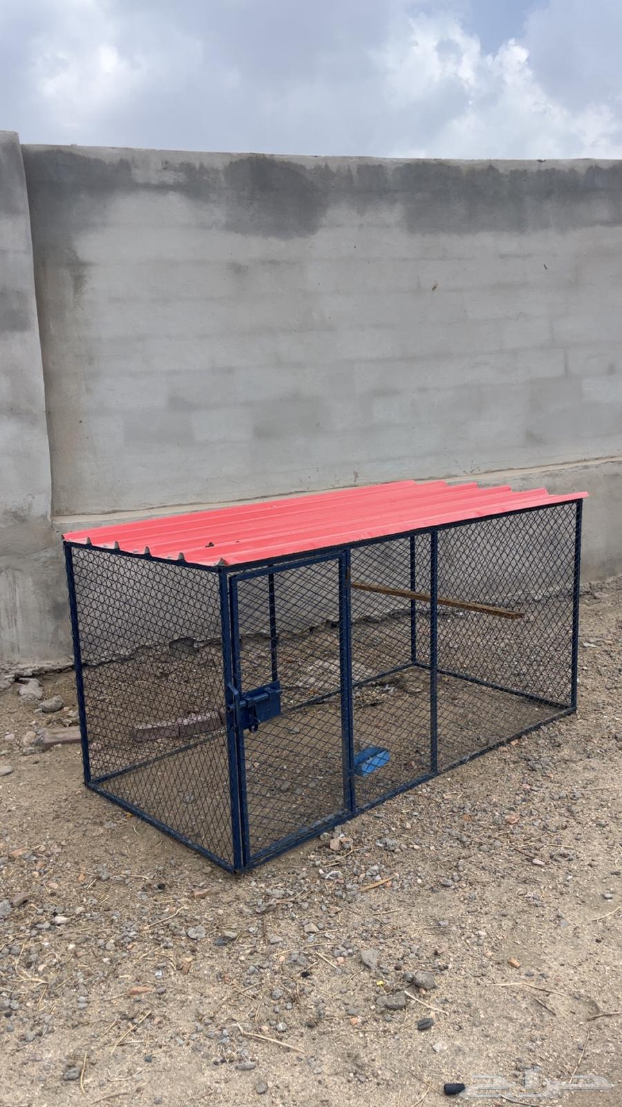 Bird net64376510060161110