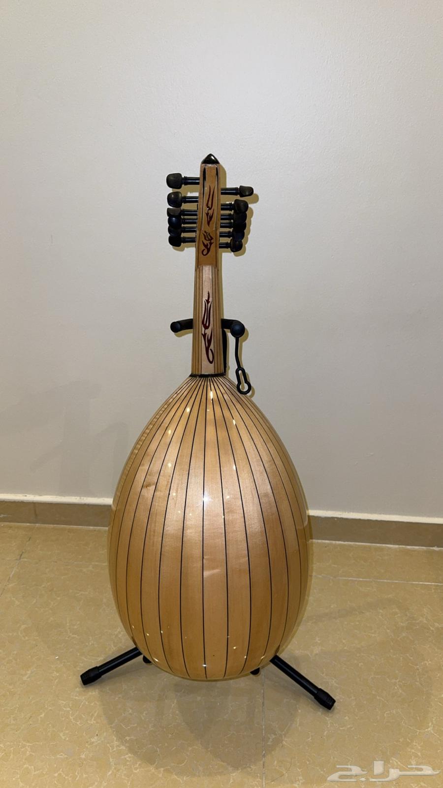 عود للبيع64370511351043111