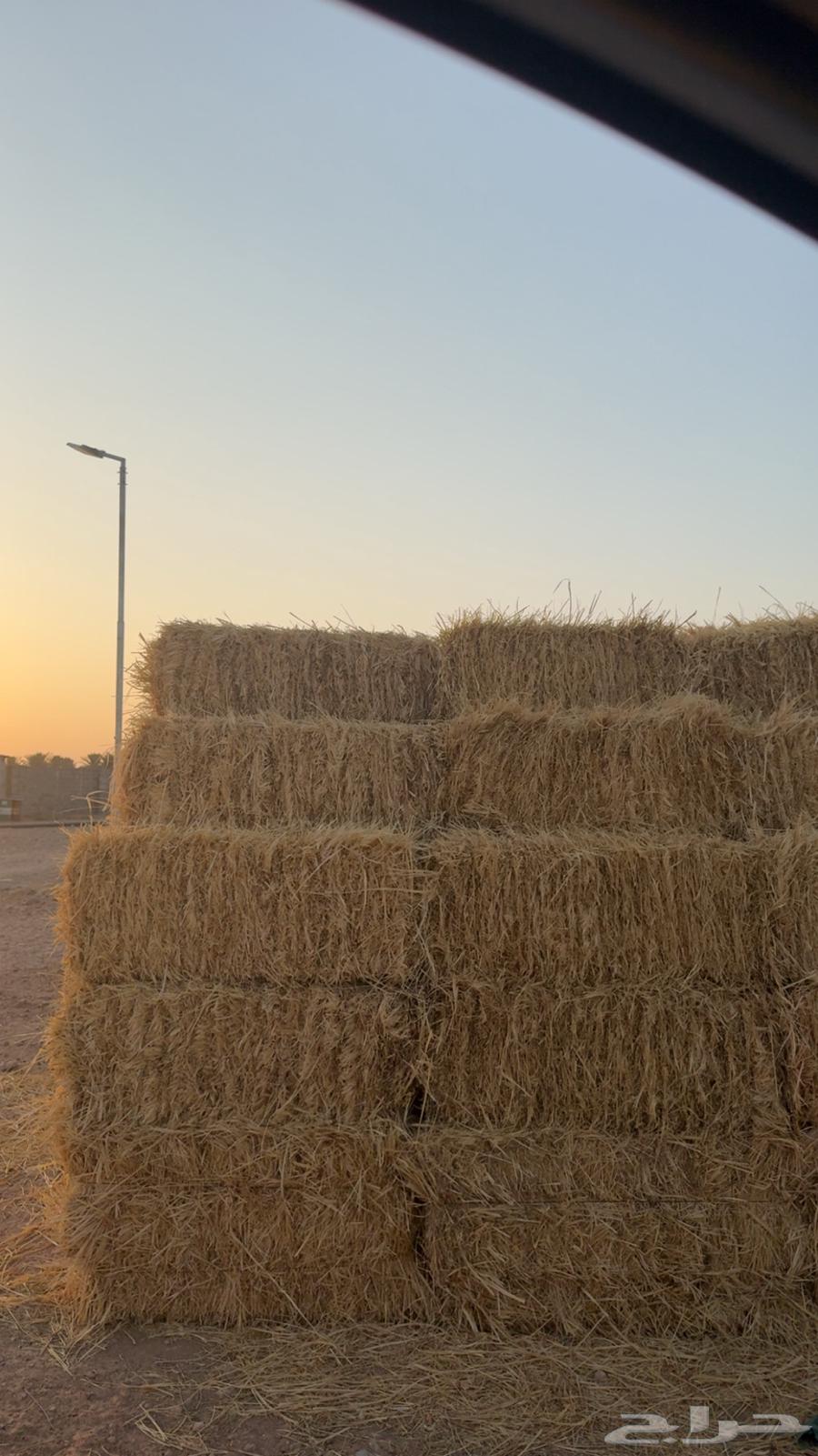 بونكام صافي جدا  جدا64371994482305114