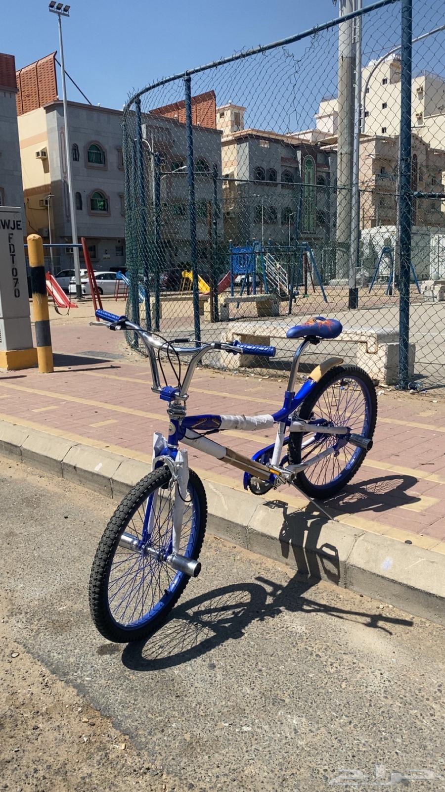 Cobra bicycle64372871622146111