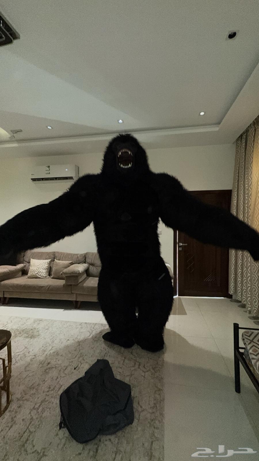 gorilla custom - لبس غوريلا64375902236675110