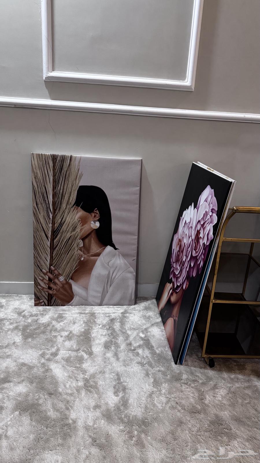 بيع لوحات 250 جميعها64364580082434113