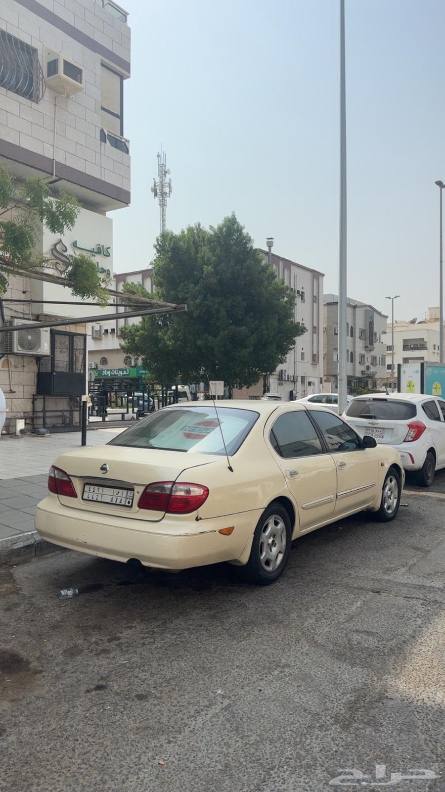 Maxima 200264510125986947113