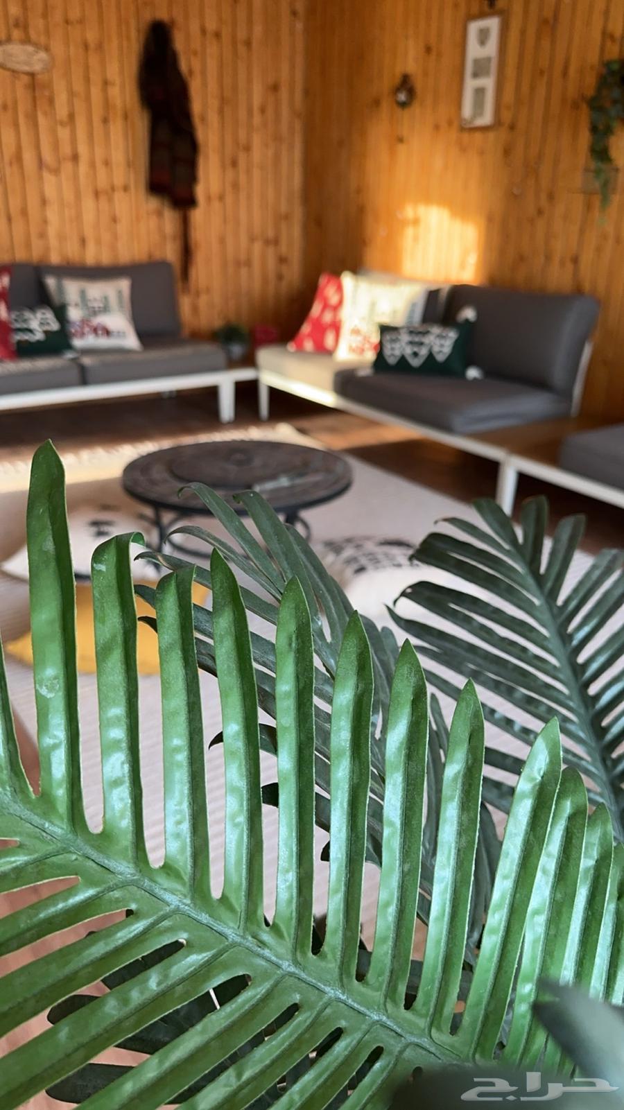 جلسة خارجيه64371278056578112