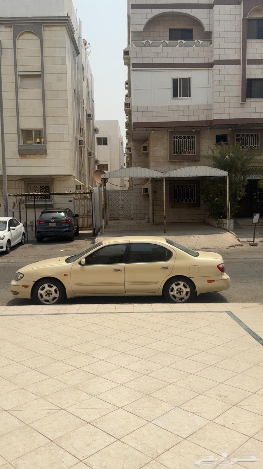 Maxima 200264510125986947114