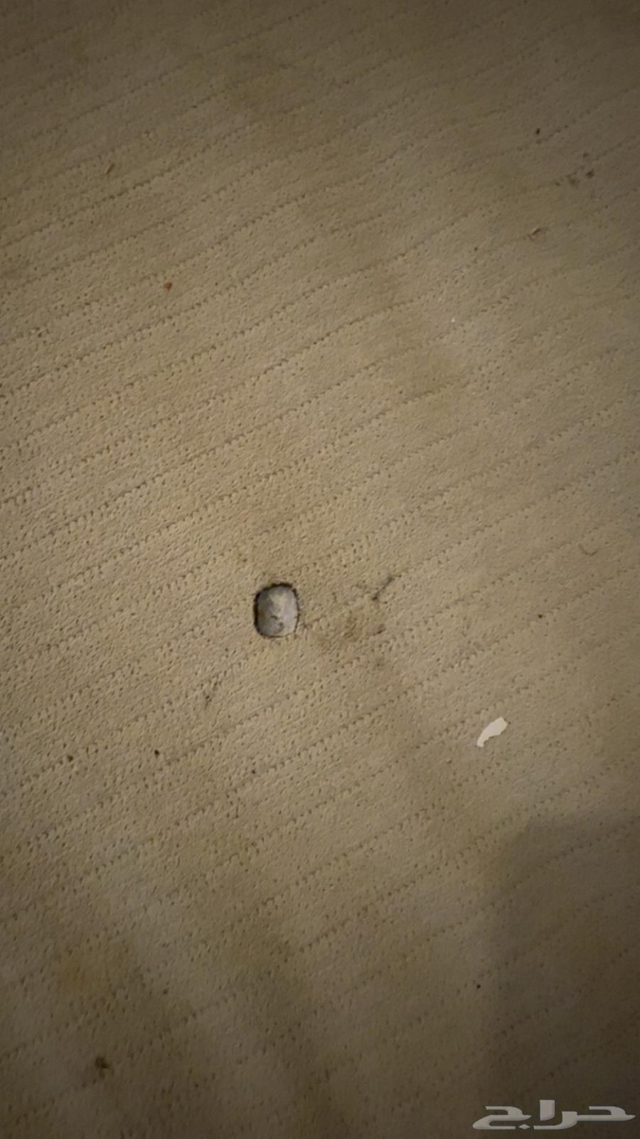 اجهزه منزليه واثاث64373654255490111