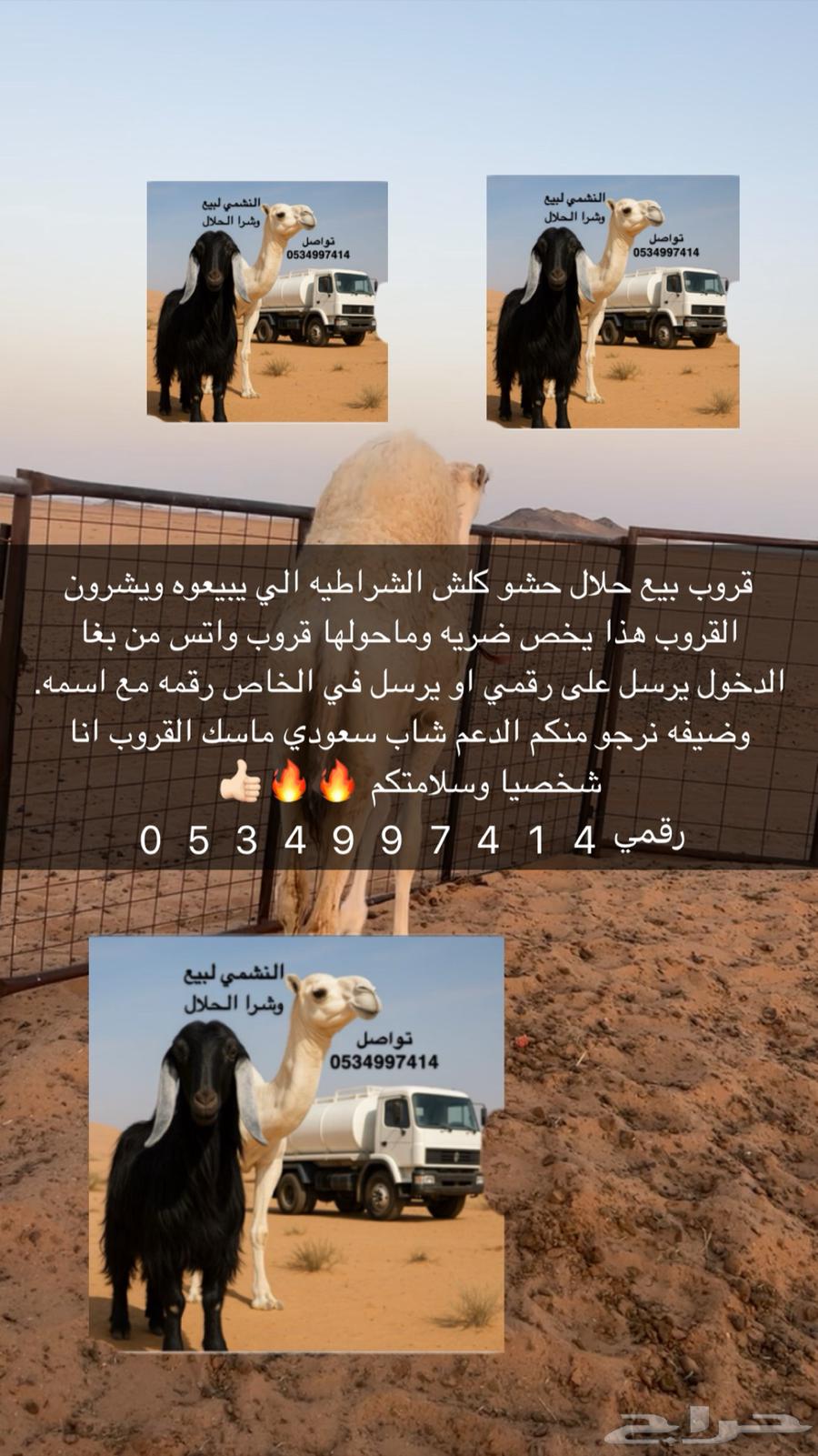 بكره كفو كفو64369290609537110