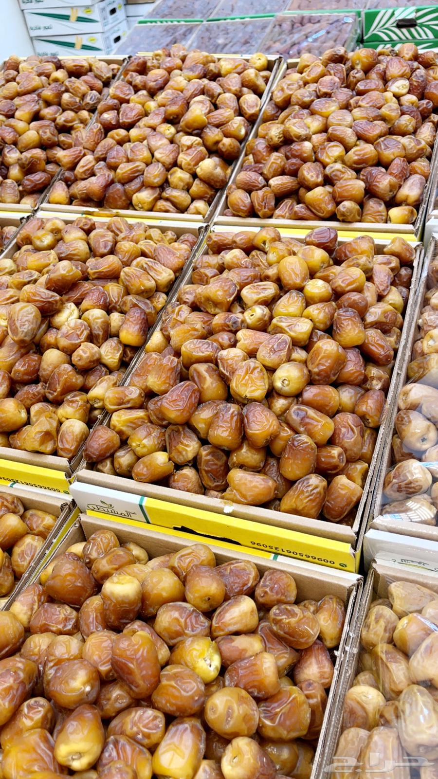 Galaxy Nadir Date Sugar64371672482050110