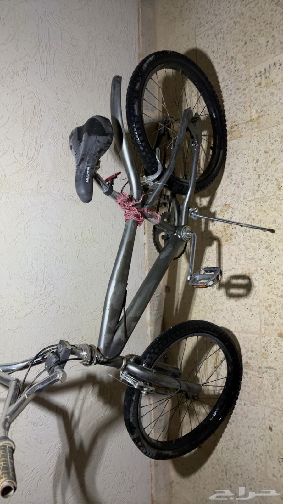 Cobra bicycle64373433289601110