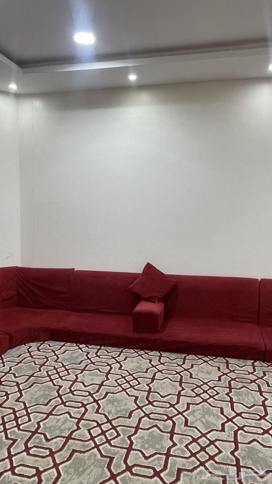 جلسة عربيه جديده64366848823169113