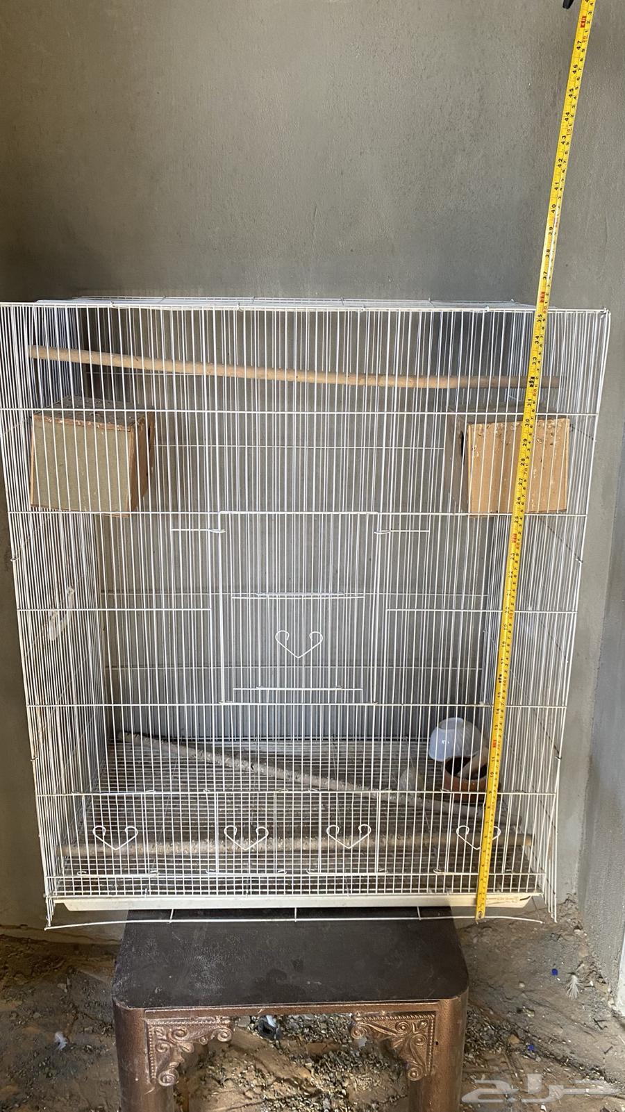 Cages for songbirds and canaries64371803563779114