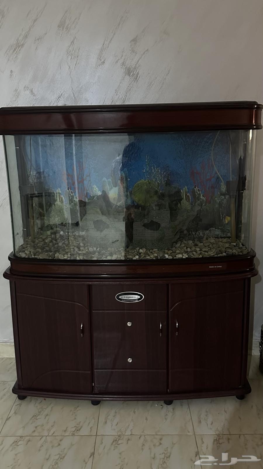 حوض سمك انيق64362847645699110