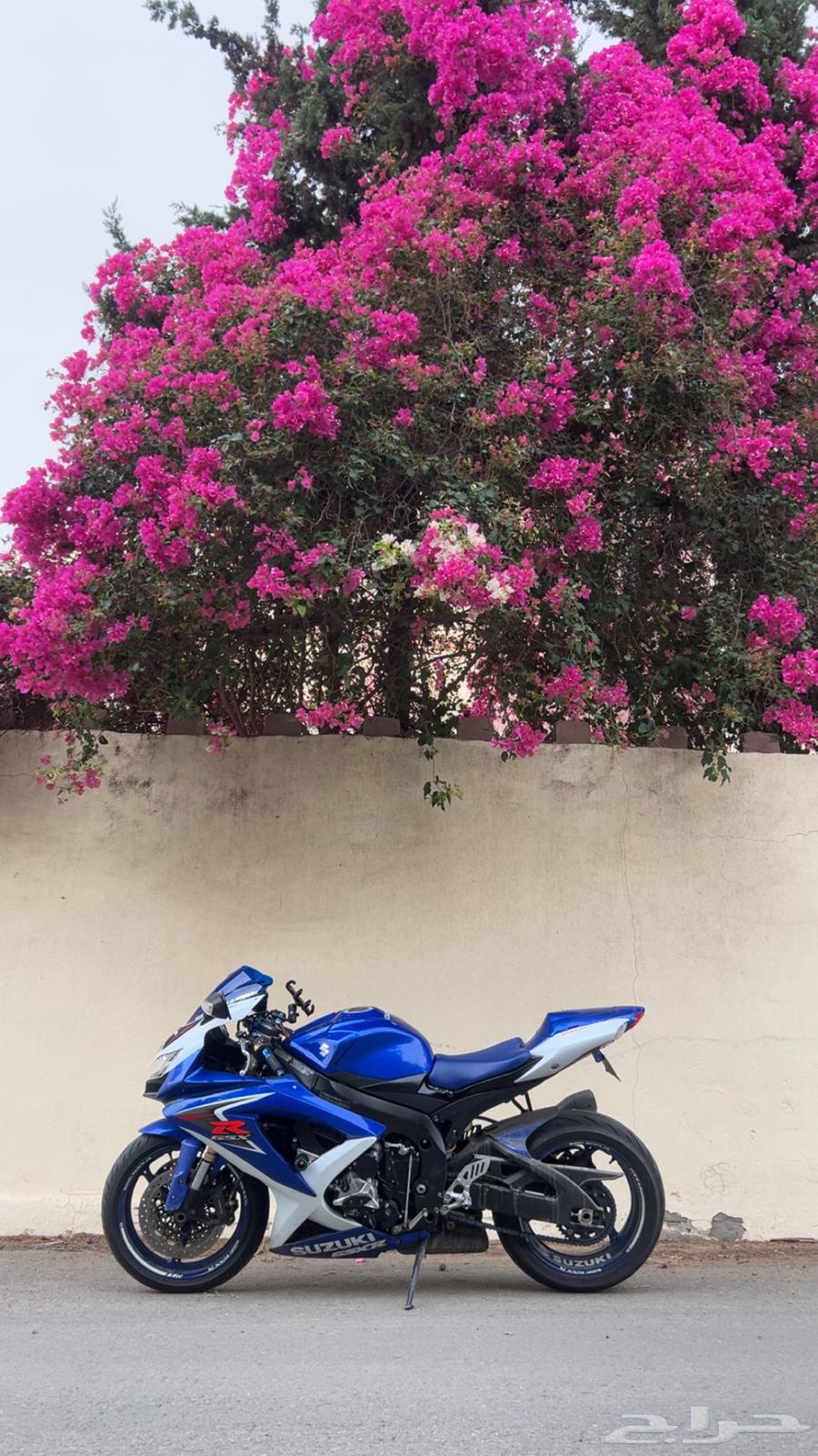 ريس 600 إصدار خاص 2008 بلللد64509828035330113