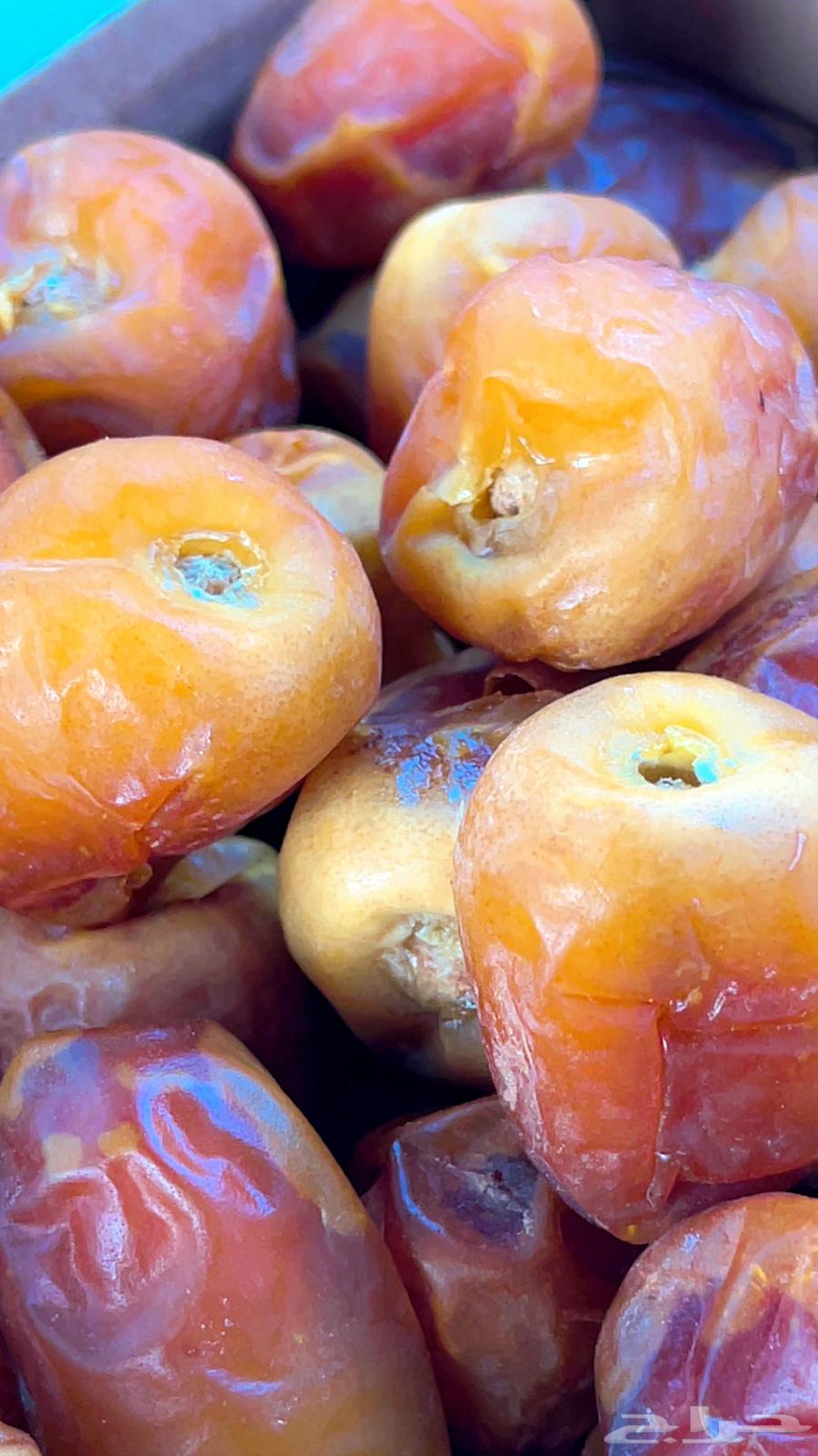 Galaxy Nadir Date Sugar64371672482050111