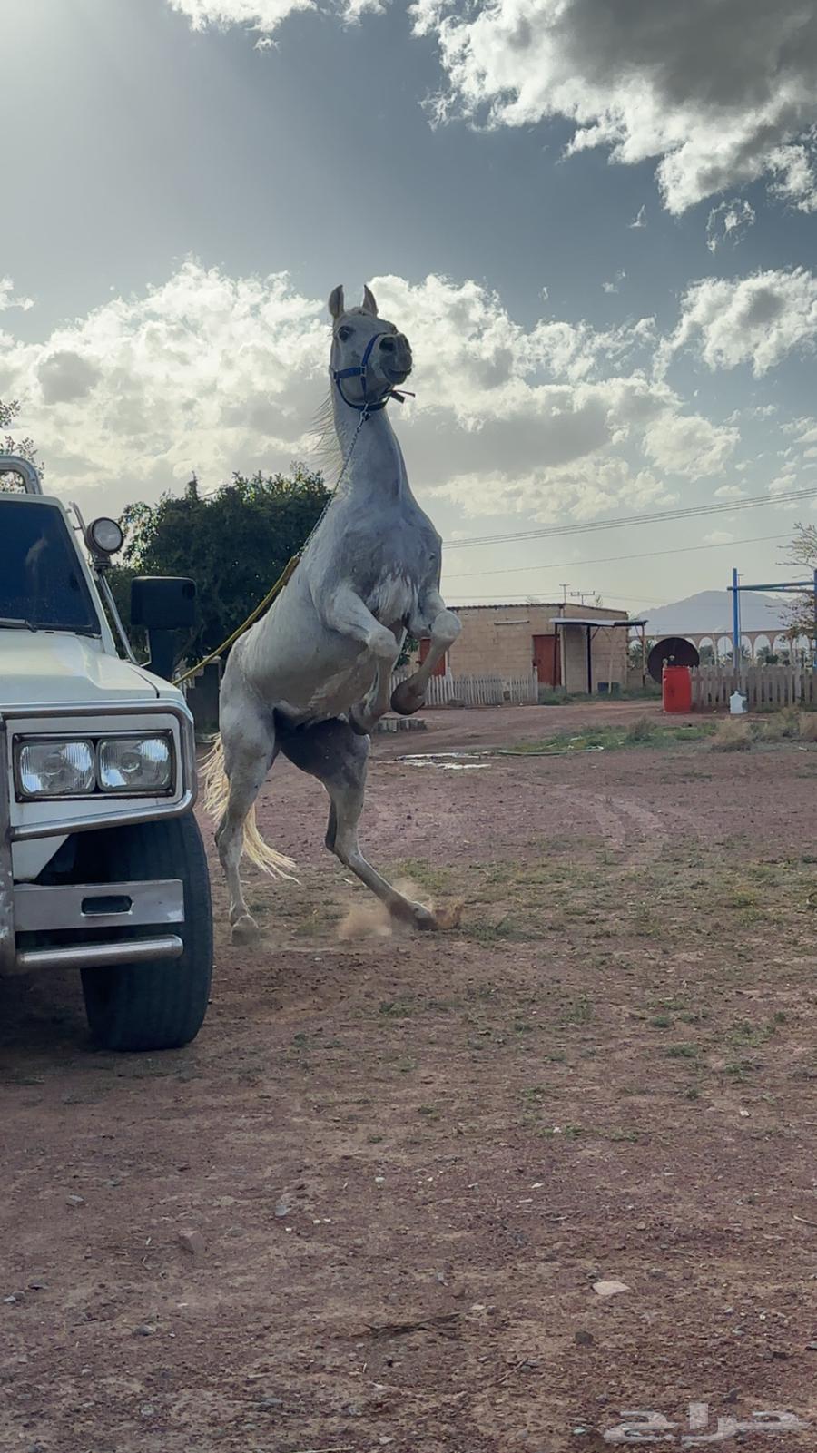 Hello64367916354818112