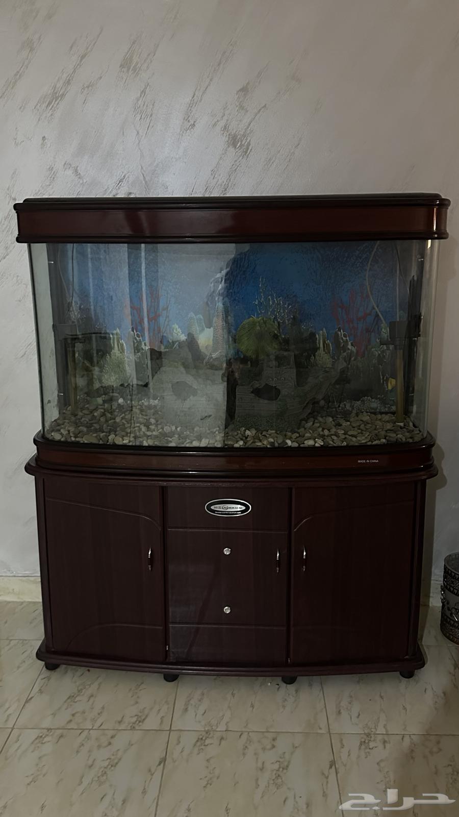 حوض سمك انيق64362847645699112