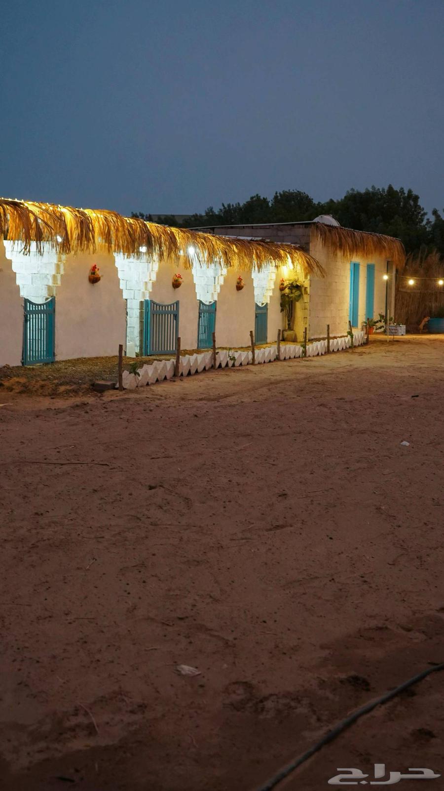 مربط الإعجاب للخيل العربية الأصيلة64365938495873112