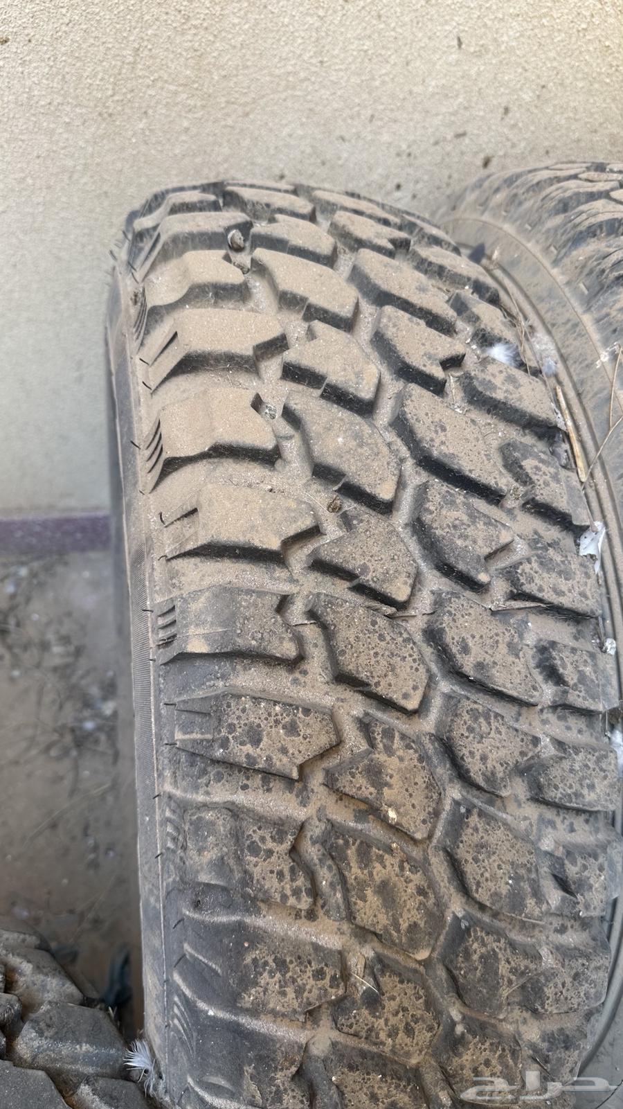 اربع كفرات ابو لبنه موديل وجنوط ديازل64513825118721111